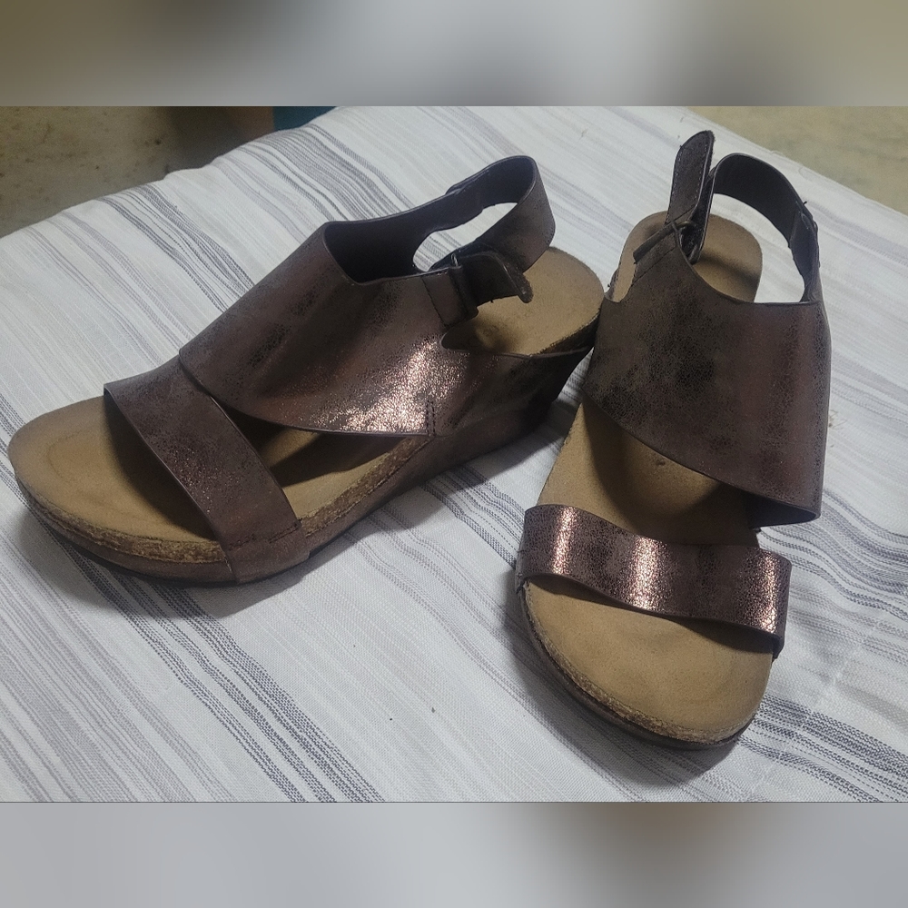 Bronze Wedge